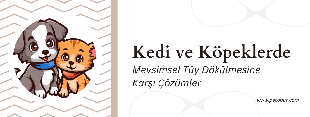 Kedi ve Köpeklerde Mevsimsel Tüy Dökülmesine Karşı Çözümler