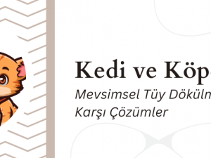 Kedi ve Köpeklerde Mevsimsel Tüy Dökülmesine Karşı Çözümler