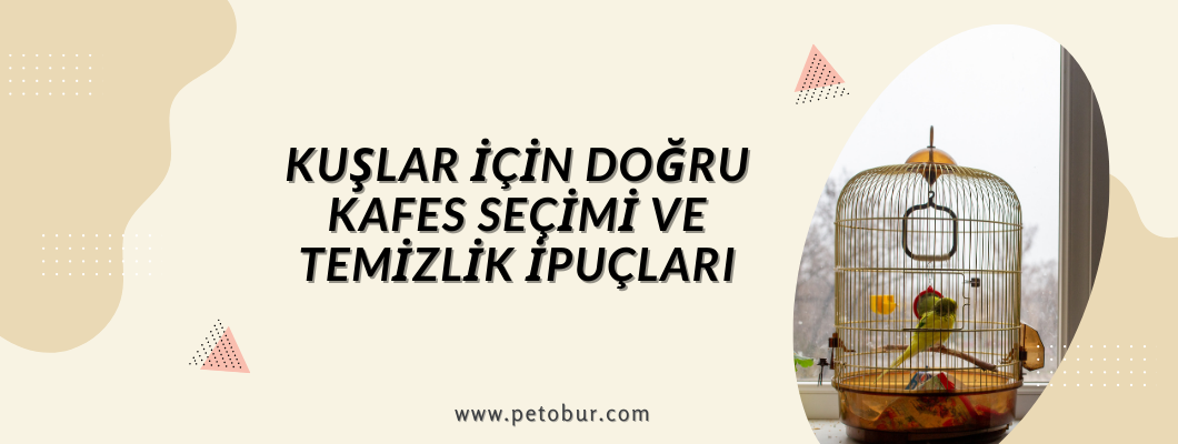 Kuşlar İçin Doğru Kafes Seçimi ve Temizlik İpuçları Kuşlar İçin Doğru Kafes Seçimi ve Temizlik İpuçları