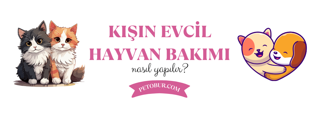 Kış Aylarında Evcil Hayvan Bakımı Nasıl Yapılır?
